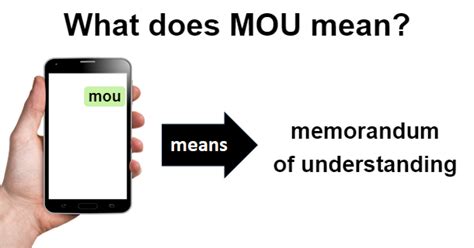 mou miu|what does mou mean.